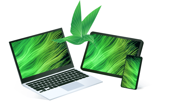 Software Development